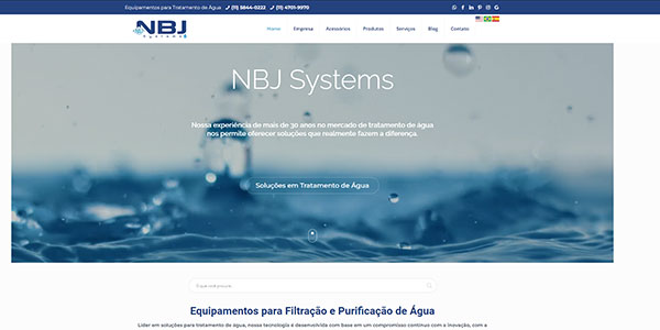 portfolio-nbj-systems